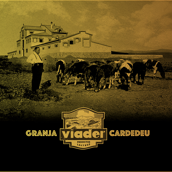 Simbolic_fotos_CAsaViader_7_ok